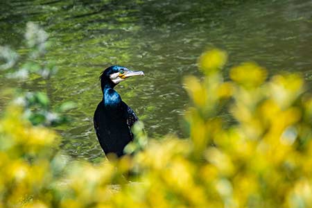 Parc Bordelais